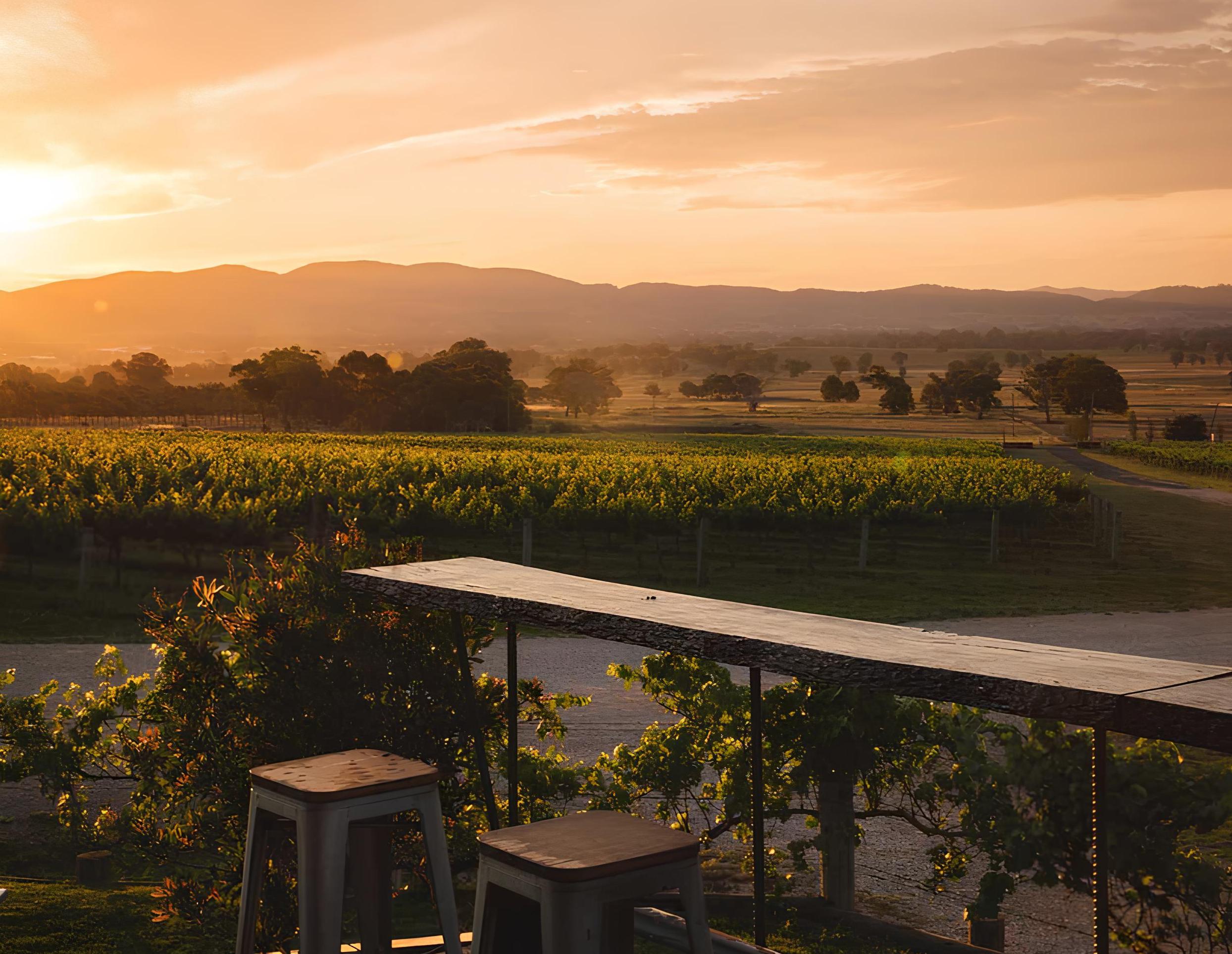 Sunset view at Moothi Estate.2489_1928_4_436.jpeg